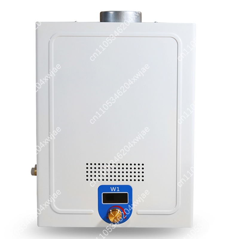 Instant Hot Shower Heater Dies - Outdoor Camping Hot Water Heater recensione e prezzo