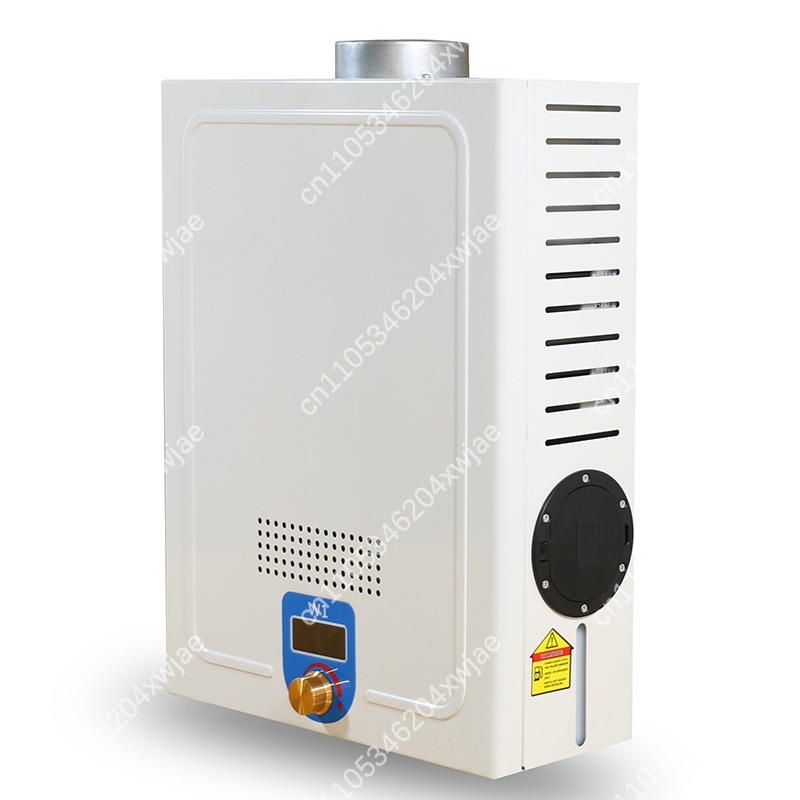 Instant Hot Shower Heater Dies - Outdoor Camping Hot Water Heater recensione e prezzo